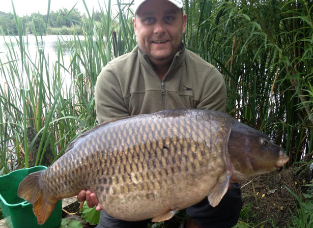 26lb Common