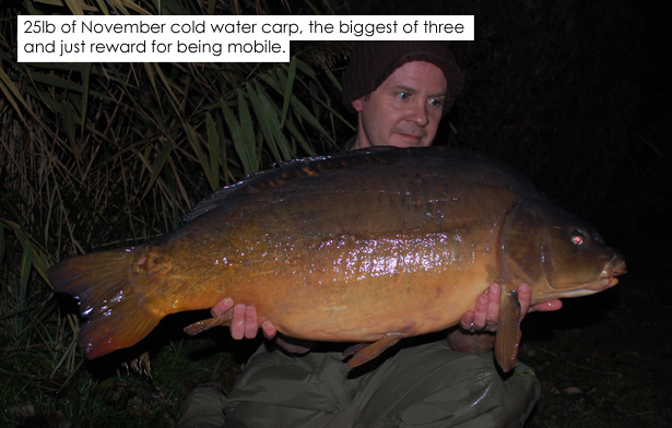 25lb of November cold water carp, the biggest of three and just reward for being mobile COPY