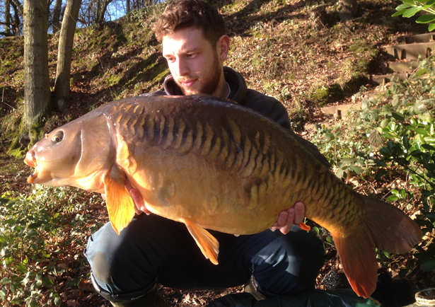 Josh Taylor - I caught this on 11th January, a fish known as the big Lin from a local club water, a usual 30lber but was down at 26-05 A stunning fish none the less