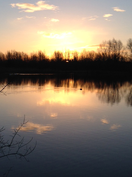 Russel Thain - One of the reasons we all go fishing sunrises like this 8-15am - midgham manor fisheries Berkshire