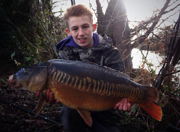 Daniel Garner Stunning Linear