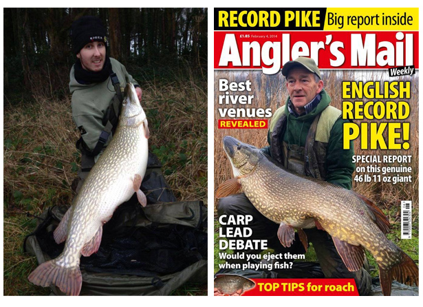 40lb-Pike