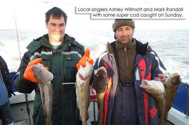 Chinook-II-Codling