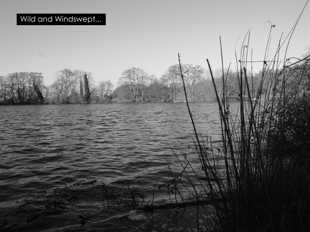 Carp-fishing-wild-and-windswept