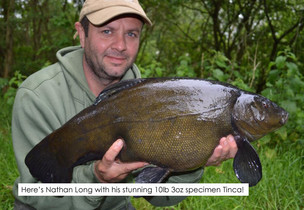 Nathan-Long-Tench