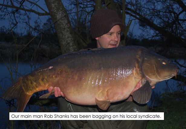 Rob-Shanks-Carp