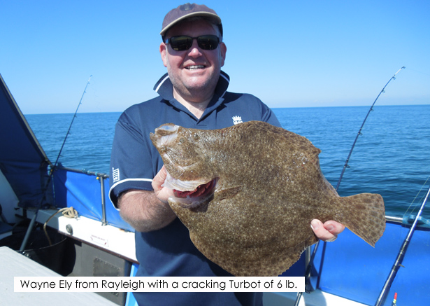 Turbot