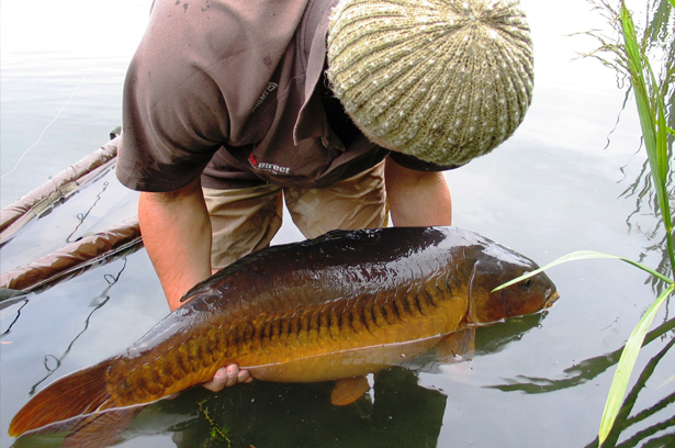 Zipp-Linear-Carp-Blog-5