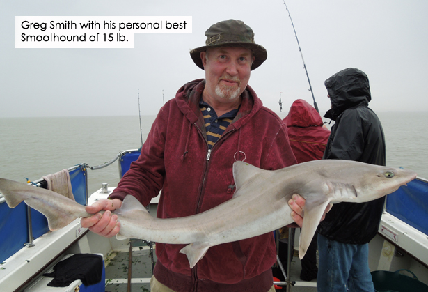 Smooth-Hound