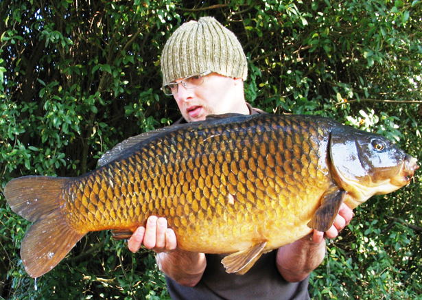 25lb-Golden-Common