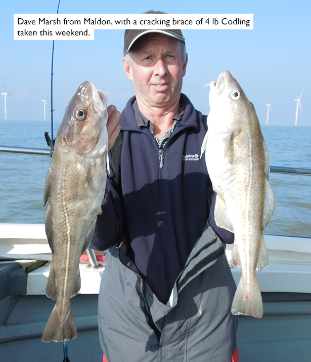 February-Codling