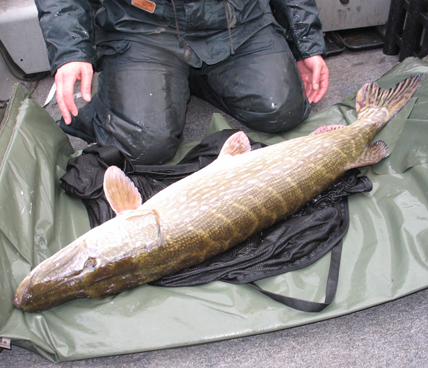 Autumn-Fishing-1