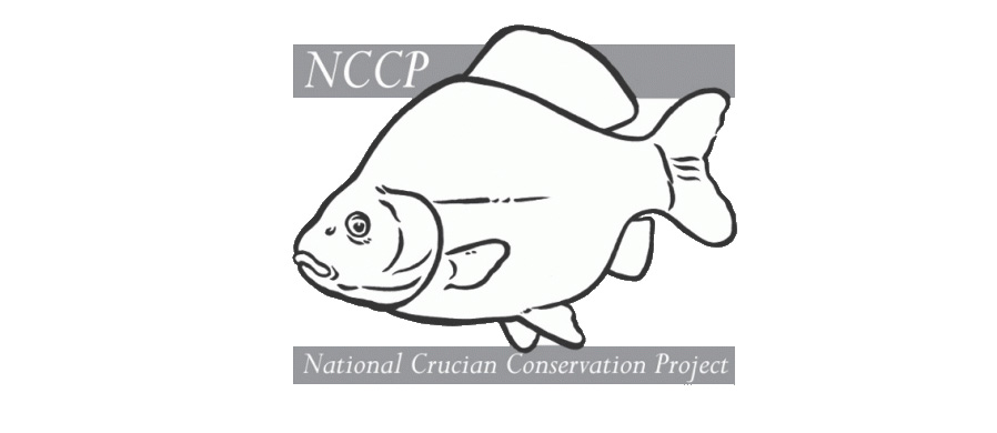 crucian-logo