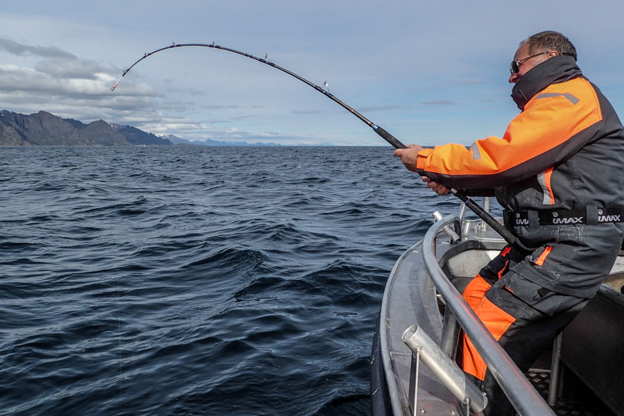 https://www.anglingdirect.co.uk/media/blog/11073/norway-sea-fishing-havoysund-g-9