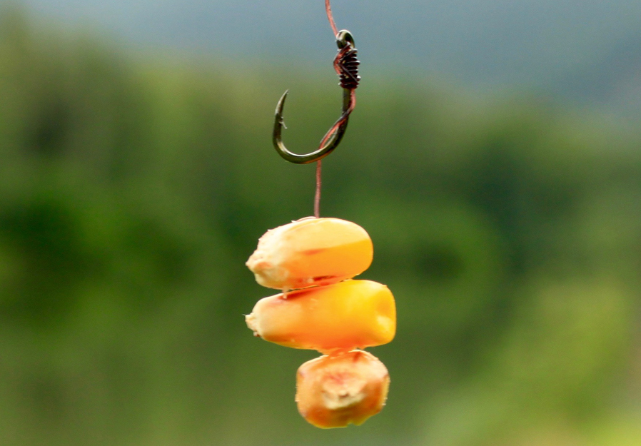 Ade-Barbel-Fishing-4