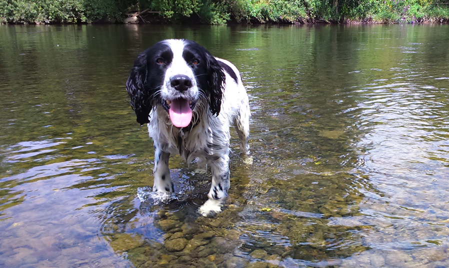 Richard-Howland-River-Wye-9