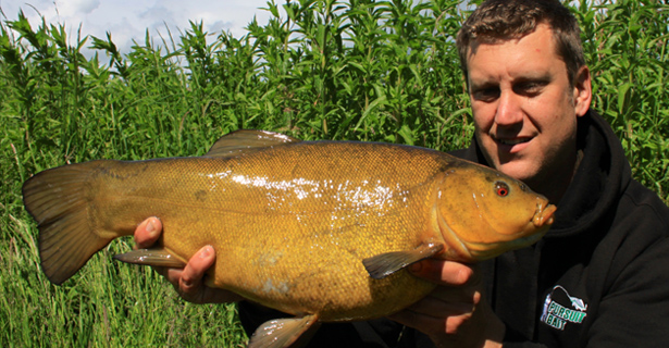 Specimen Spring Tench... Justin Grapes