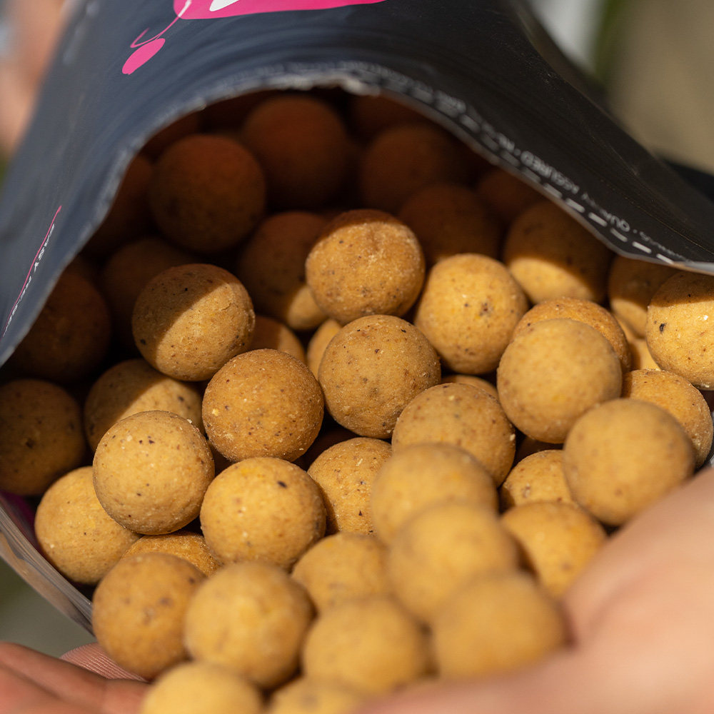 Mainline Cell Shelf Life Fishing Boilies Close Up 2