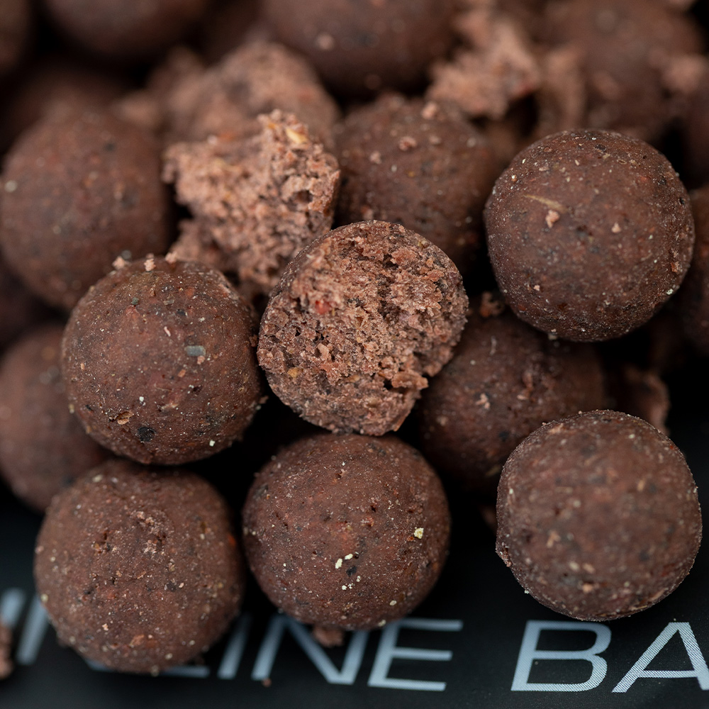 Mainline Link Shelf Life Fishing Boilies Close Up 4