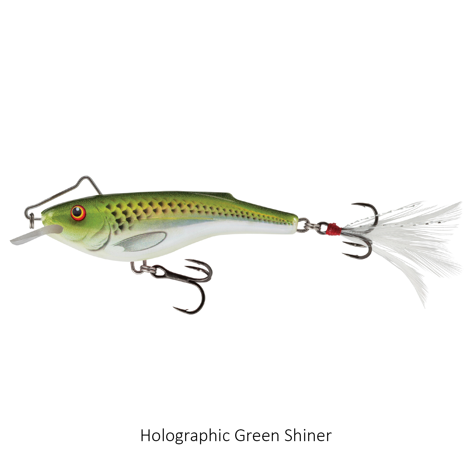 Salmo Rail Shad 6cm Sinking Lure Holographic Green Shiner