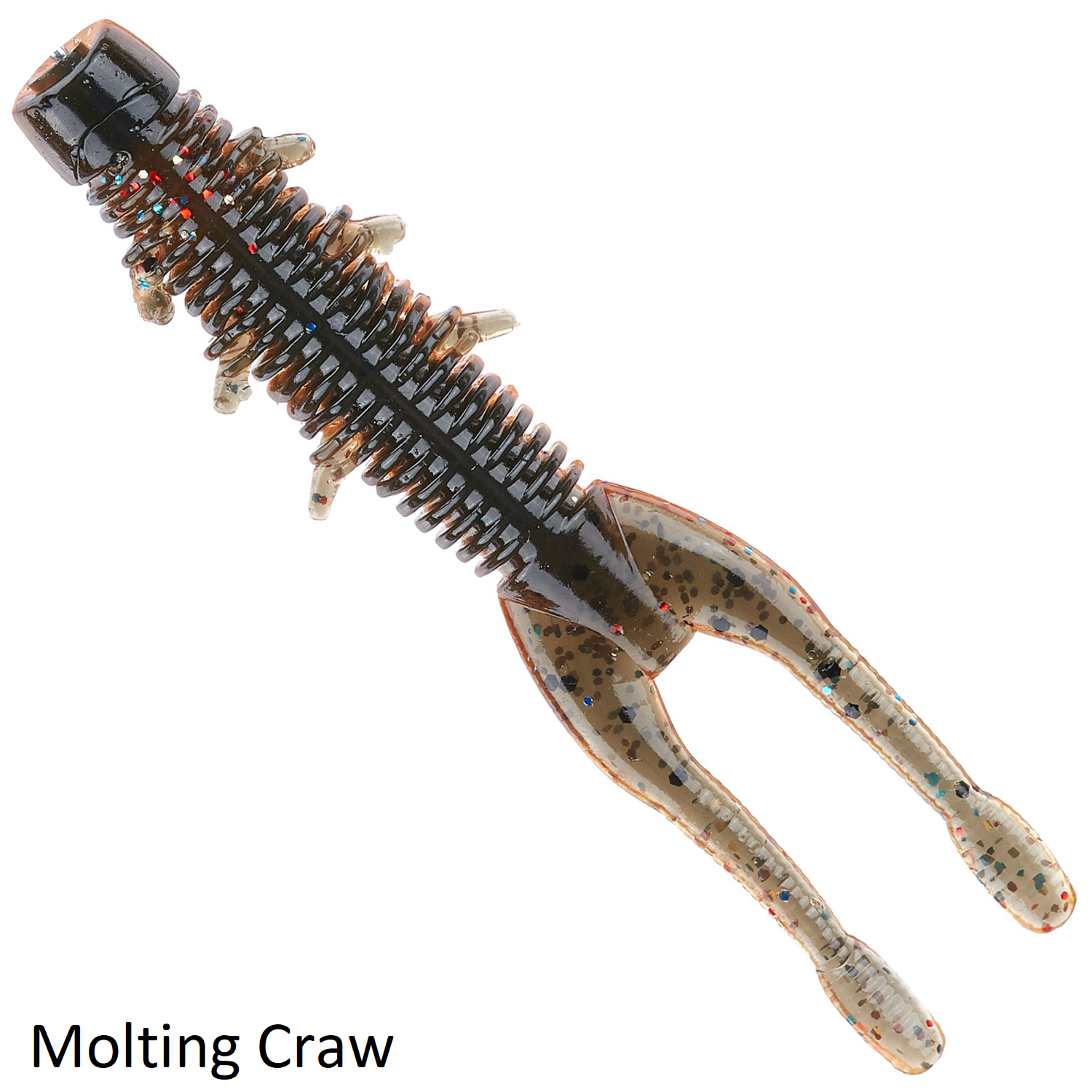 Molting Craw