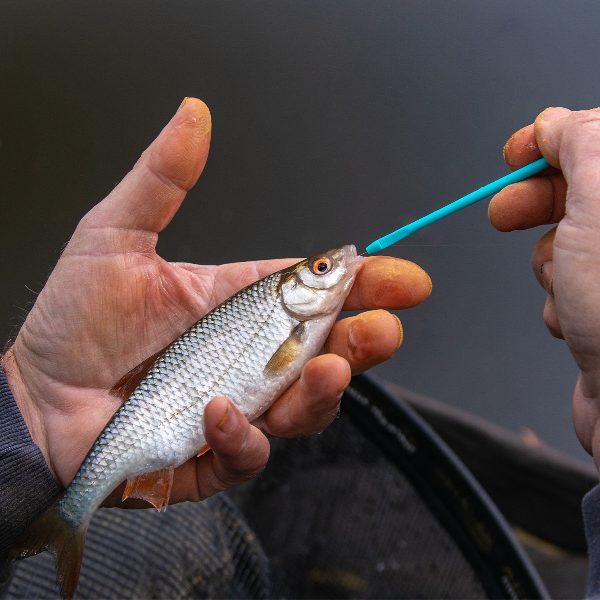 Drennan Match Disgorger Aqua In Use 2