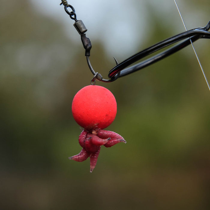 Sticky Baits AD Plumz Pop Ups 16mm In Use 19