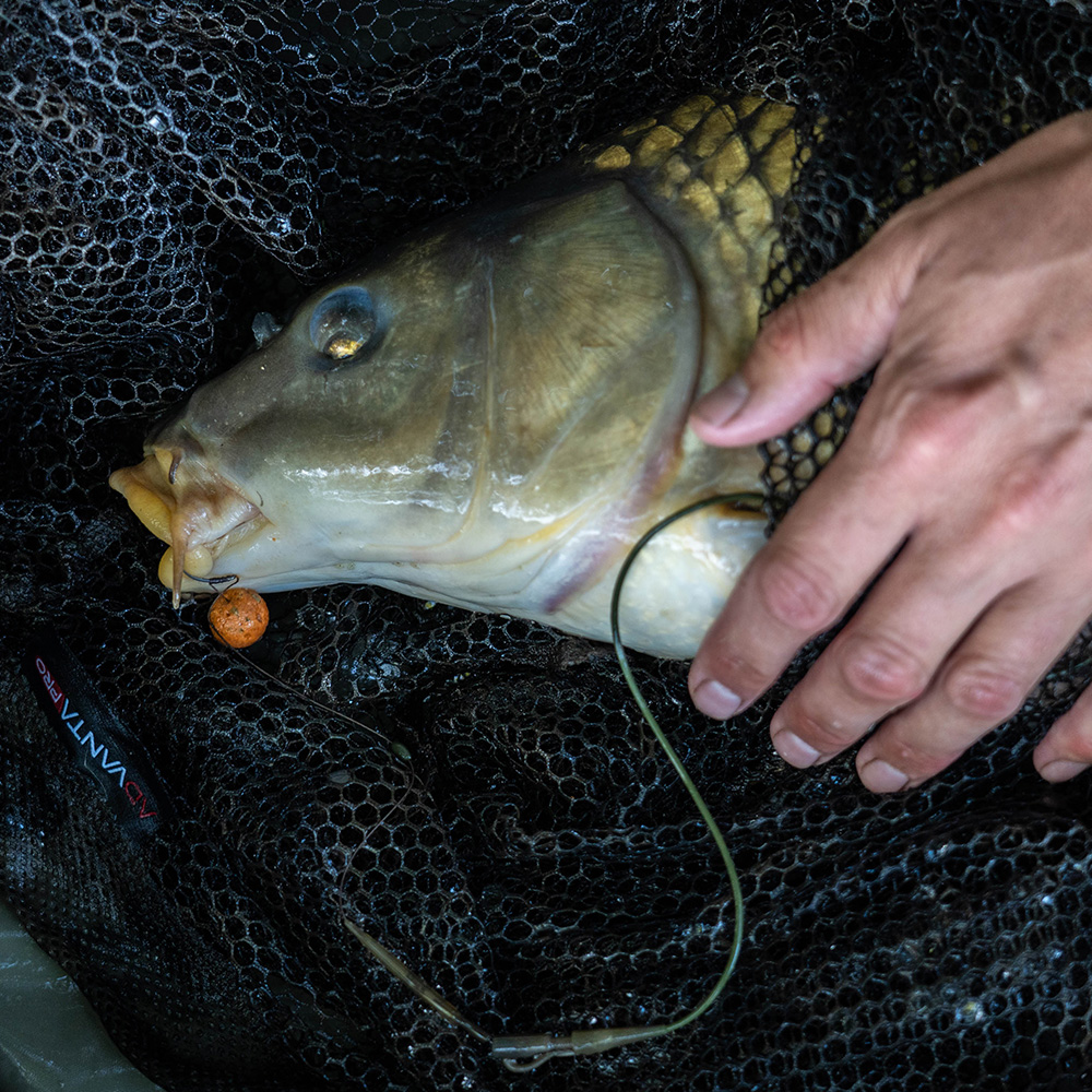 Advanta 42 Inch Camo Mesh Landing Net & 6ft 2 Piece Handle In Use 6