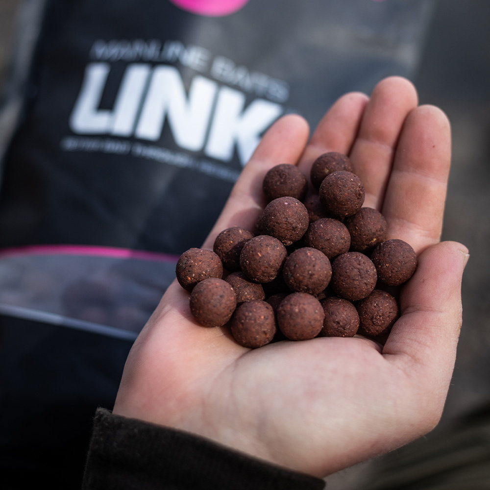 Mainline Link Shelf Life Fishing Boilies Close Up 6