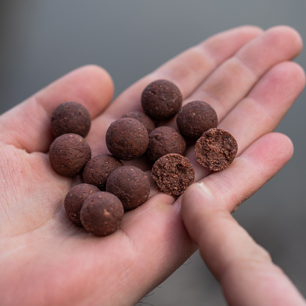 Mainline Link Shelf Life Fishing Boilies Close Up 7