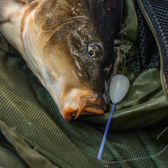 Nash Fishing Bolt Machine In Use 1