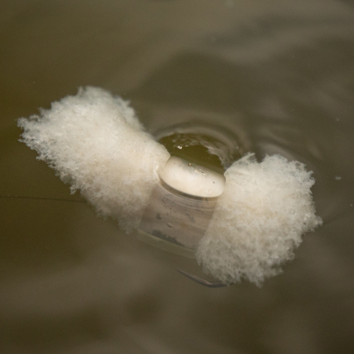 Nash Bread Bomb In Use 3