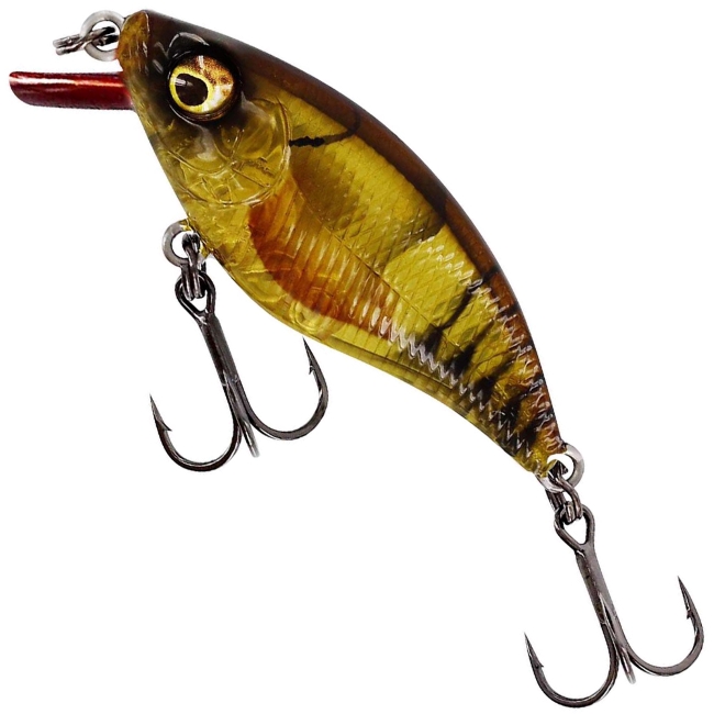 Clear Brown Craw