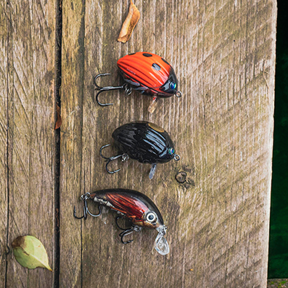 Salmo Chub Lure Pack 2