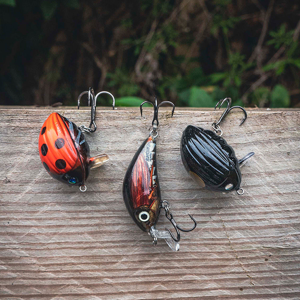 Salmo Chub Lure Pack 3