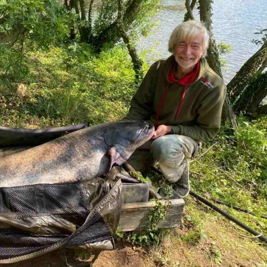 Native Wels Catfish in UK waters - with Martyn Page